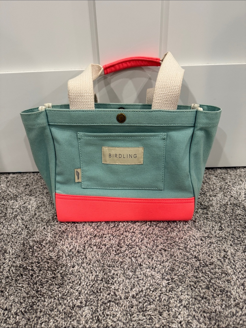 Birdling Mini Canvas Tote Bag in Teal and Coral